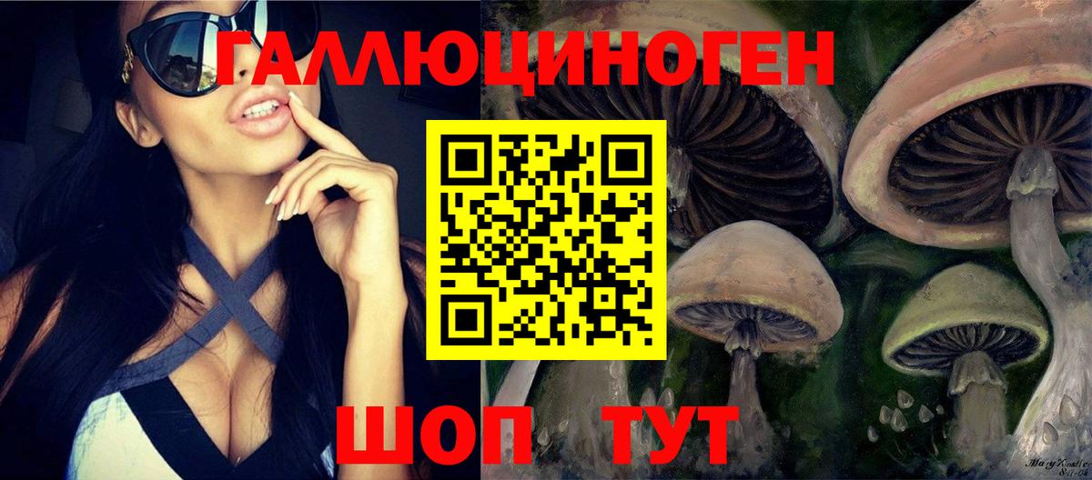 Сегежа  Галлюциногенные грибы ЛСД  Вход с VPN 