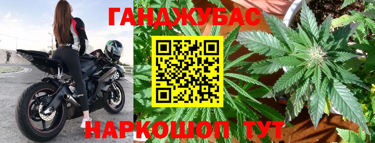 Каннабис сатива Сегежа